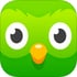 Duolingo icon