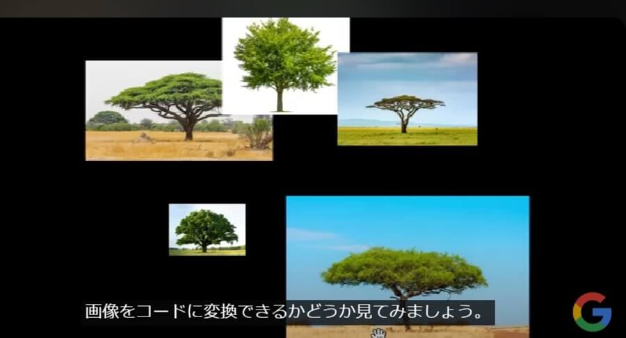 木の画像をコードに変換する