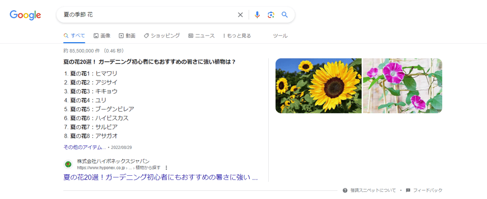 強調スニペットのリストを解説している画像