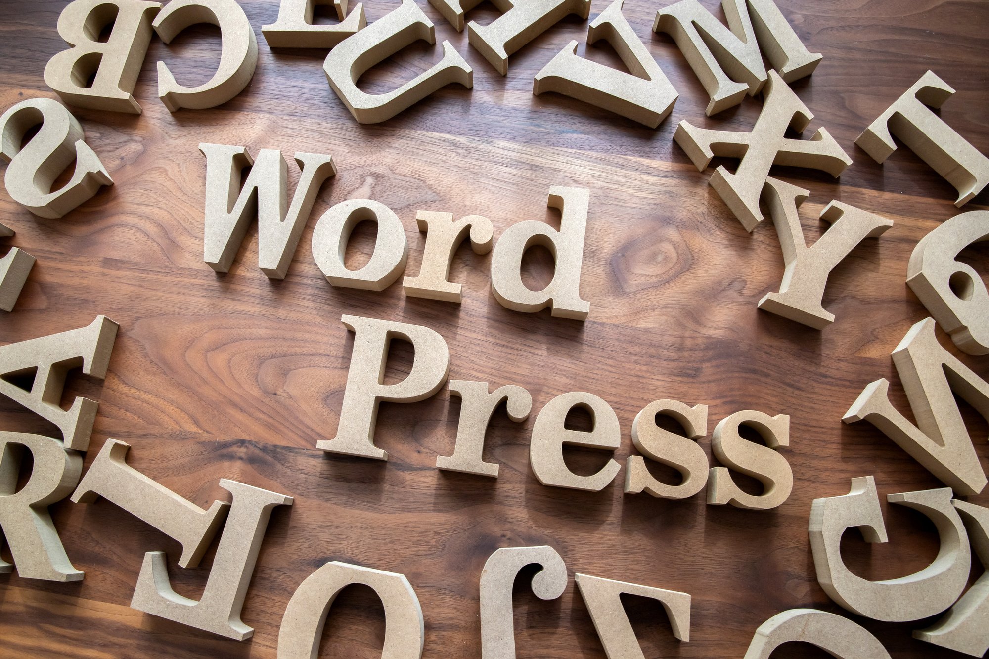 wordpress-theme-1